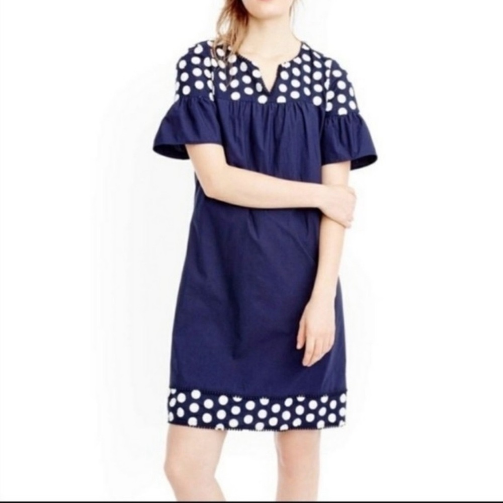 Navy Jcrew Dress 2